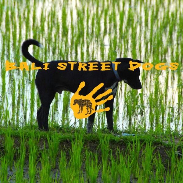 Bali Street Dog Fund